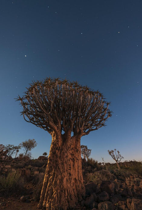 africa