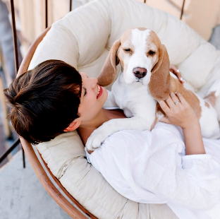 pet